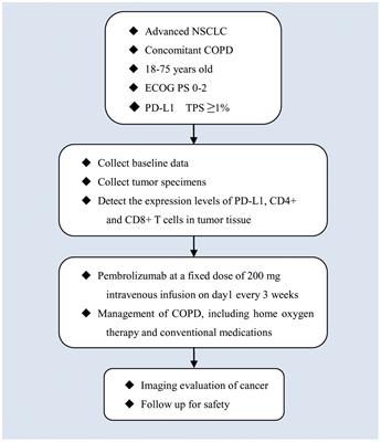 Efficacy and safety of pembrolizumab as first-line treatment for advanced non-small cell lung cancer complicated with chronic obstructive pulmonary disease: protocol for a prospective, single-arm, single-center, phase II clinical trial